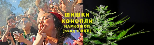 молекула духа Покров