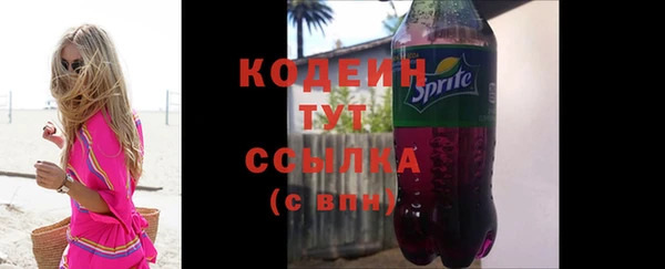 молекула духа Покров