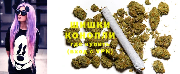 молекула духа Покров