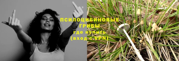 гашиш Пересвет