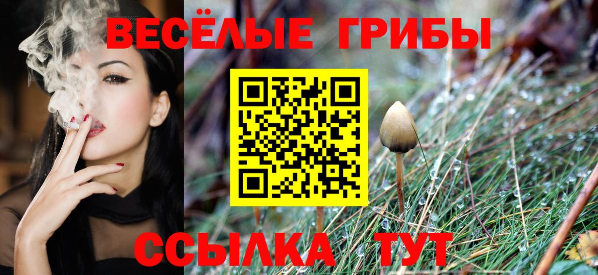 Калуга  где купить наркоту  Псилоцибиновые грибы Psilocybe  Вход с VPN  Галлюциногенные грибы ЛСД 